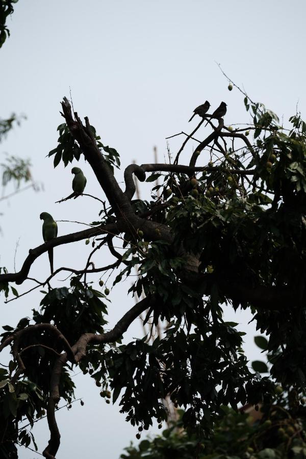 Parul - Elegant Heritage Home At The Heart Of Shantiniketan Esterno foto